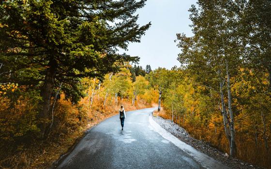 A person walks down a road lined with trees (Unsplash/Trail)